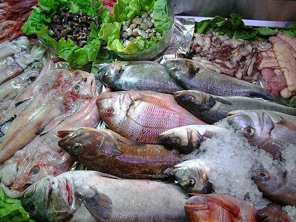 Imagen 11 Grupo Monet foto