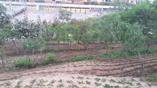 Imagen 22 Grupo Monet foto