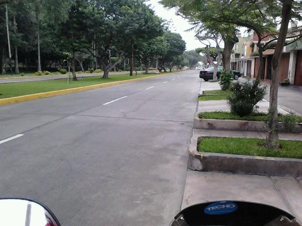 Imagen 23 Grupo Monet foto