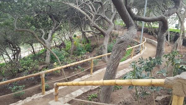 Imagen 24 Grupo Monet foto