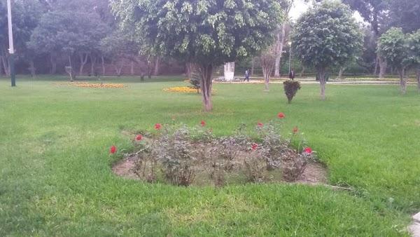 Imagen 25 Grupo Monet foto