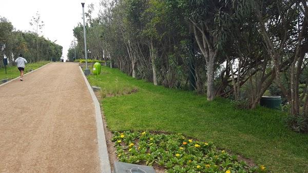 Imagen 27 Grupo Monet foto