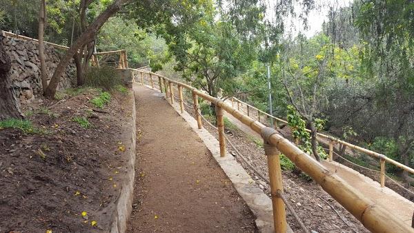 Imagen 28 Grupo Monet foto