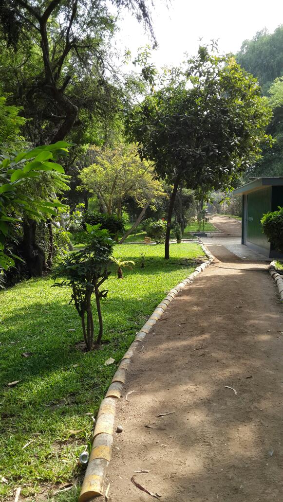 Imagen 29 Grupo Monet foto