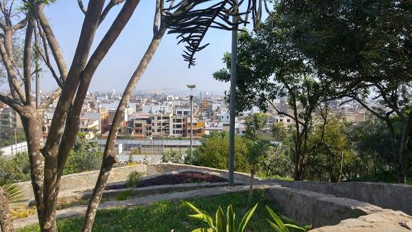 Imagen 33 Grupo Monet foto