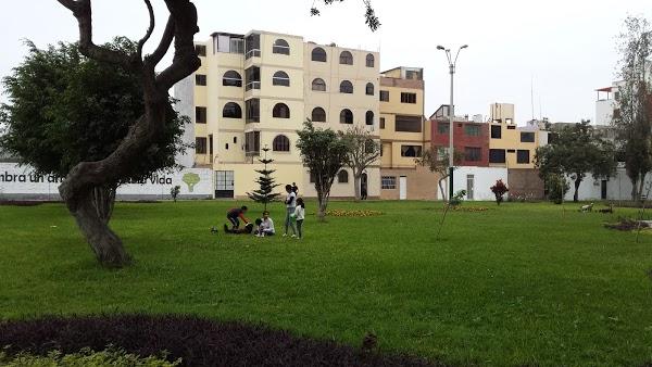 Imagen 34 Grupo Monet foto