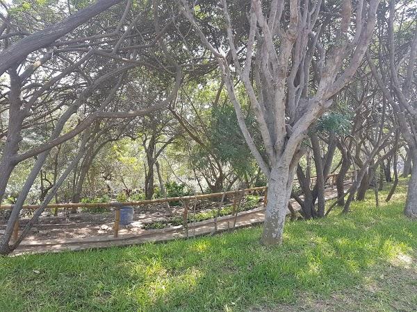 Imagen 37 Grupo Monet foto