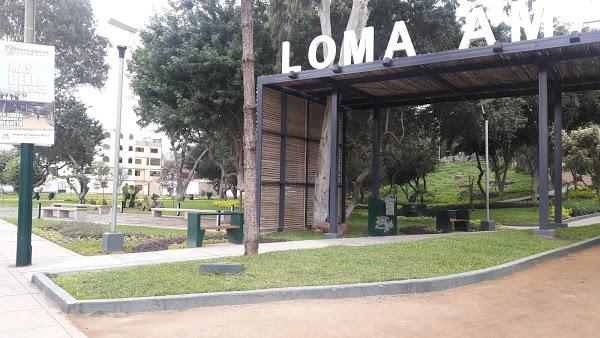 Imagen 55 Grupo Monet foto