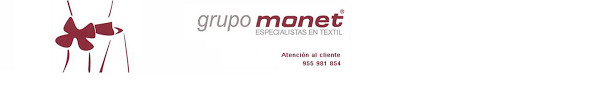 Imagen 10 Grupo Monet foto
