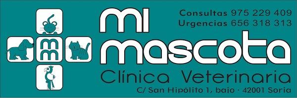 Imagen 13 Colegio Nuestra Señora de La Merced de Ate foto