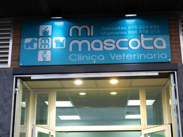 Imagen 14 Colegio Nuestra Señora de La Merced de Ate foto