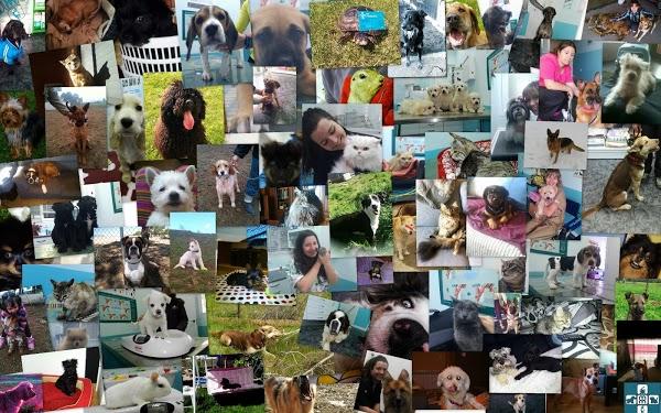 Imagen 18 Colegio Nuestra Señora de La Merced de Ate foto