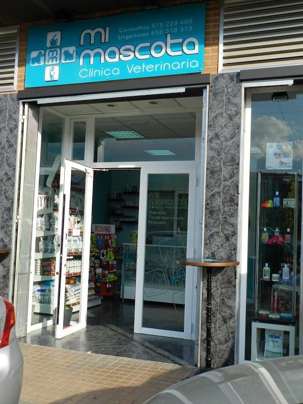 Imagen 21 Colegio Nuestra Señora de La Merced de Ate foto