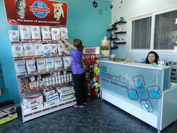 Imagen 30 Colegio Nuestra Señora de La Merced de Ate foto