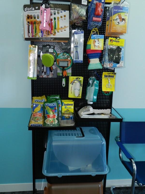 Imagen 4 Hotel Morales-Hoteles En Centro foto