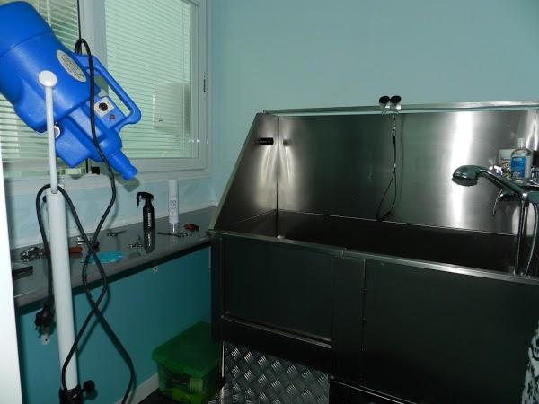 Imagen 6 Hotel Morales-Hoteles En Centro foto