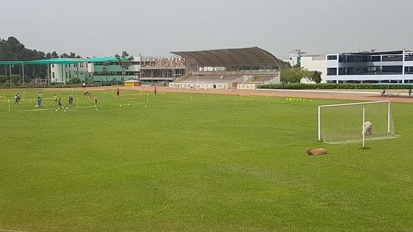 Imagen 57 Colegio Nuestra Señora de La Merced de Ate foto