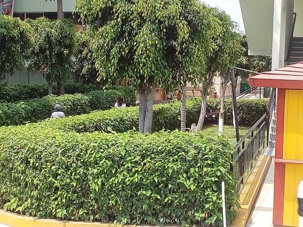 Imagen 60 Colegio Nuestra Señora de La Merced de Ate foto