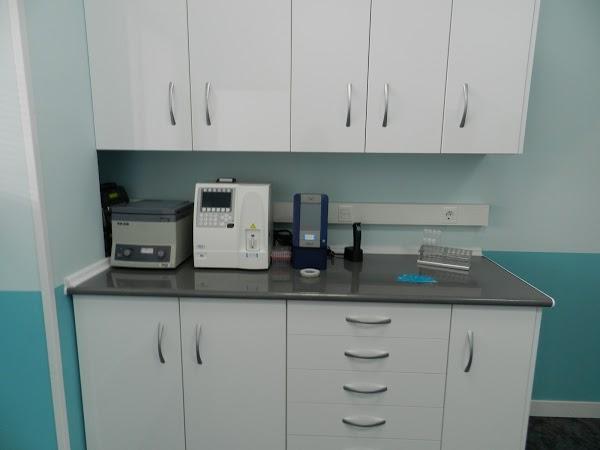 Imagen 8 Hotel Morales-Hoteles En Centro foto