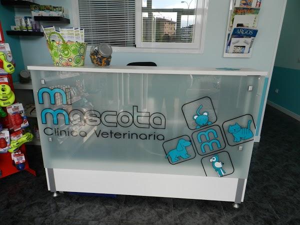 Imagen 9 Hotel Morales-Hoteles En Centro foto