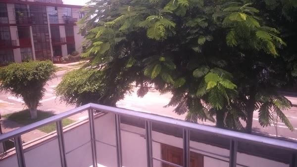 Imagen 17 Telepizza foto