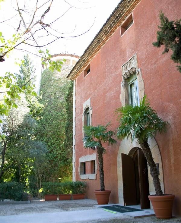 Imagen 6 Asador Viñas foto