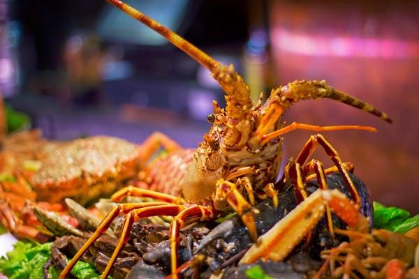 Imagen 27 Restaurante los Olivos foto