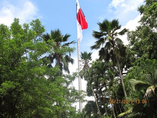 Imagen 12 Gripo EIMA foto