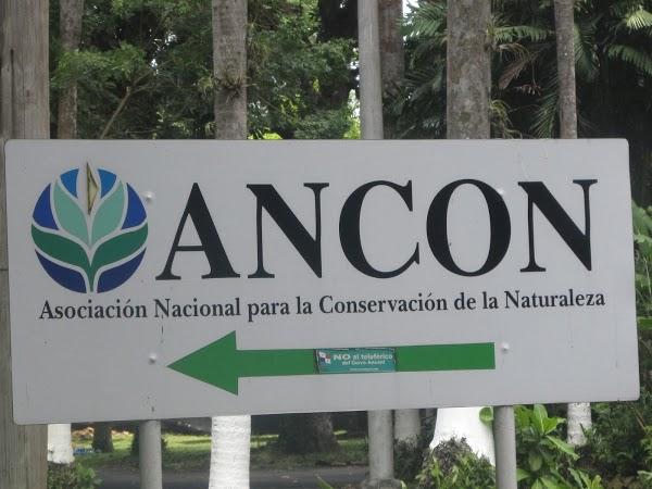 Imagen 16 Gripo EIMA foto