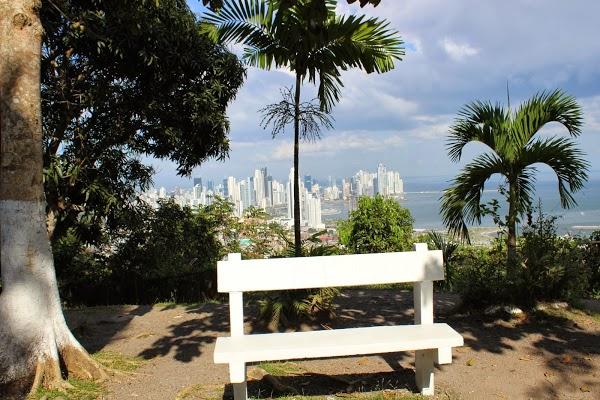 Imagen 17 Gripo EIMA foto