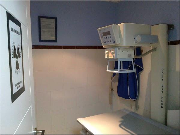 Imagen 14 Piscine Alfred Nakache foto