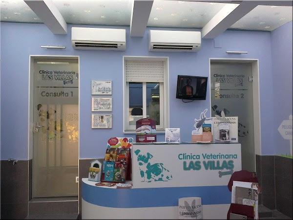 Imagen 15 Piscine Alfred Nakache foto