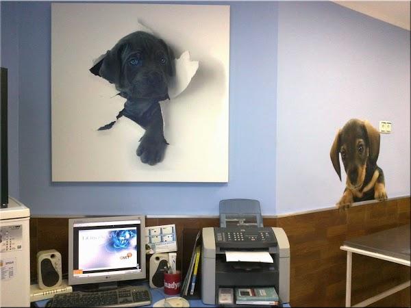 Imagen 16 Piscine Alfred Nakache foto