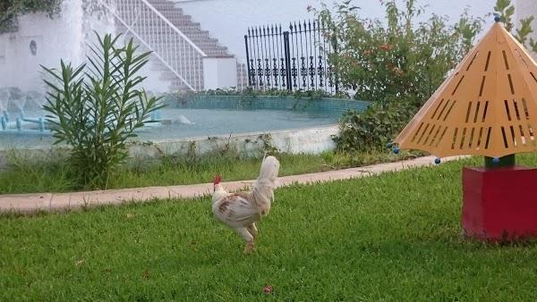 Imagen 100 Ricardo Pérez, S.A. - Sucursal Vía Tocumen foto