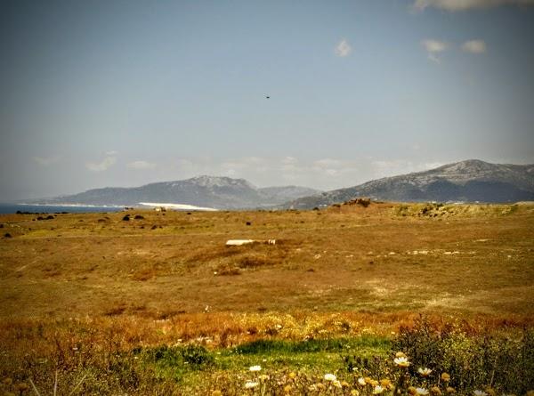 Imagen 16 Salón Spa Spirit foto