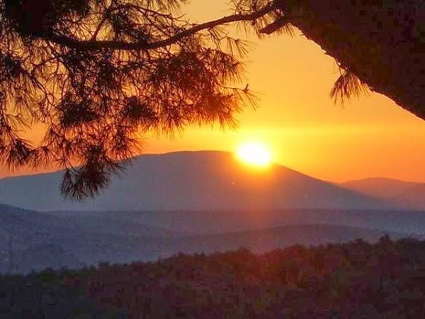 Imagen 19 ICOT Escaleritas foto