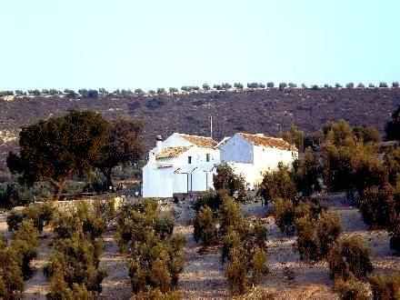 Imagen 39 ICOT Escaleritas foto