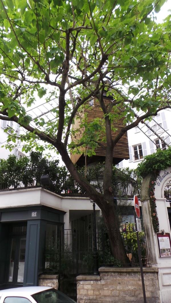 Imagen 3 Taberna Valdespartera foto