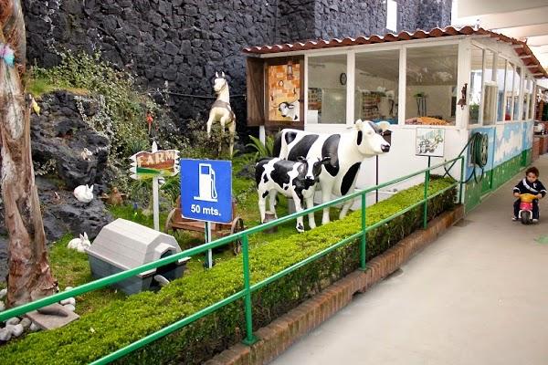 Imagen 26 Xiringuito Starfish foto