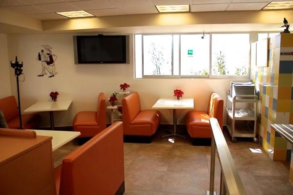 Imagen 29 Xiringuito Starfish foto