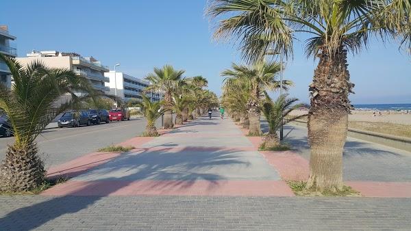 Imagen 60 Xiringuito Starfish foto