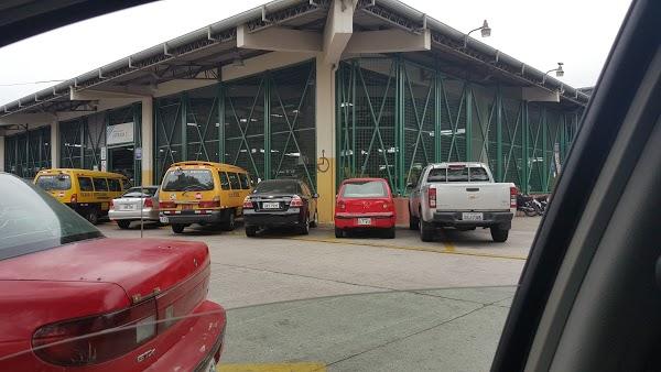 Imagen 34 Teide Divers foto