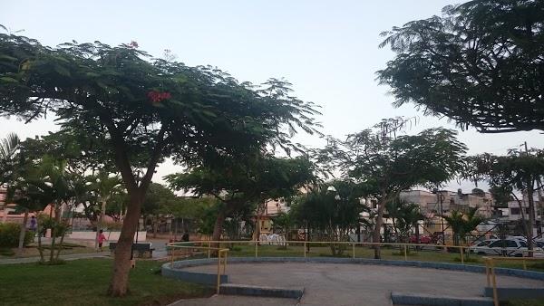 Imagen 35 Teide Divers foto