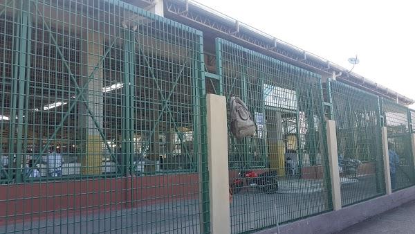 Imagen 45 Teide Divers foto