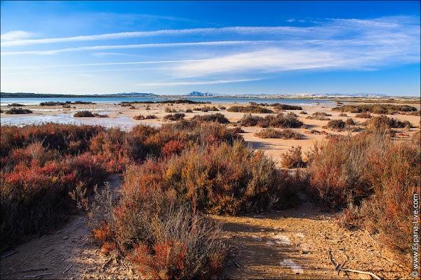 Imagen 31 Novias Yolan Cris foto