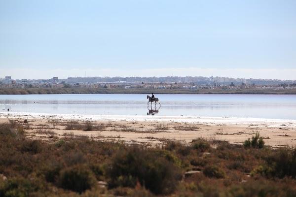 Imagen 33 Novias Yolan Cris foto