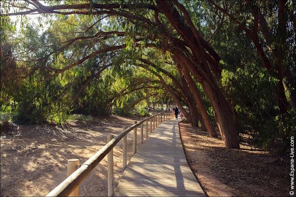 Imagen 34 Novias Yolan Cris foto