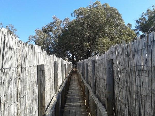 Imagen 35 Novias Yolan Cris foto