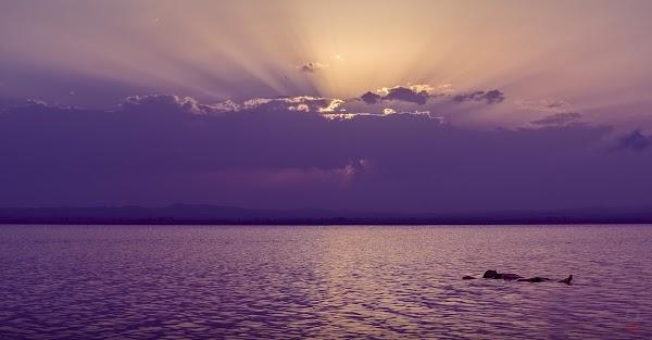 Imagen 36 Novias Yolan Cris foto