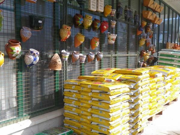 Imagen 11 Vivero Arroyo de la Miel foto